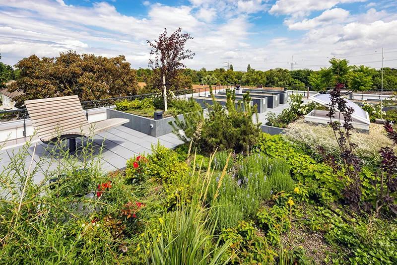 Begrünte Dachterrasse mit extensiver Bepflanzung und Aufenthaltsbereichen
